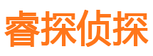 滨湖侦探公司